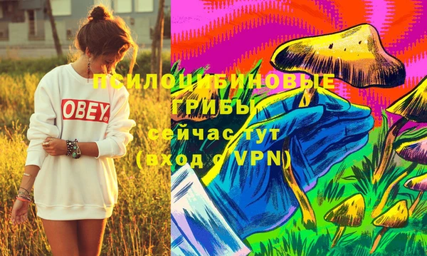 mdma Снежногорск