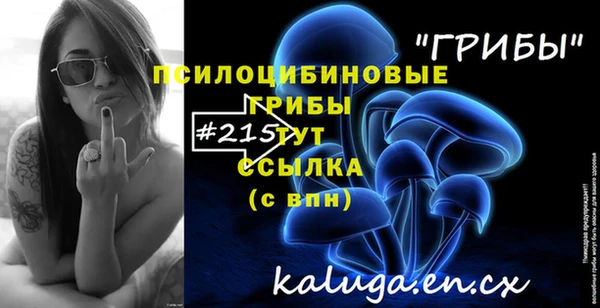 mdma Снежногорск