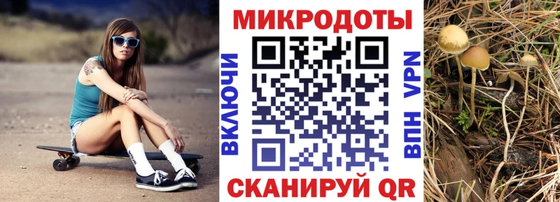 Купить закладки  Катав-Ивановск  Псилоцибиновые грибы мицелий 